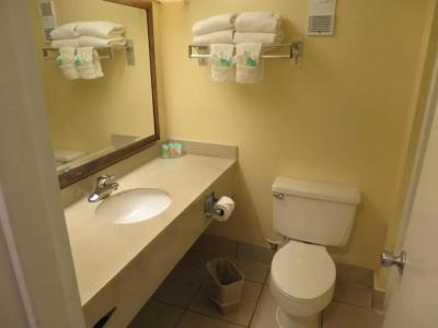 Floridian Express International Drive - 9