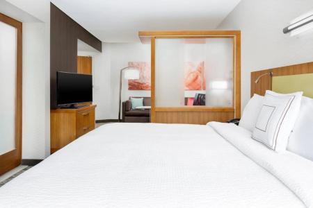 SpringHill Suites by Marriott San Diego Mission Valley - 41