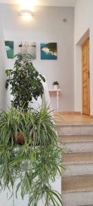 Apulia Bed&Breakfast - 11
