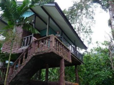 Tree Tops River Huts - 22