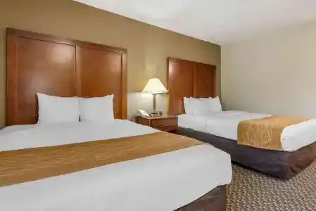 Comfort Inn South - 26