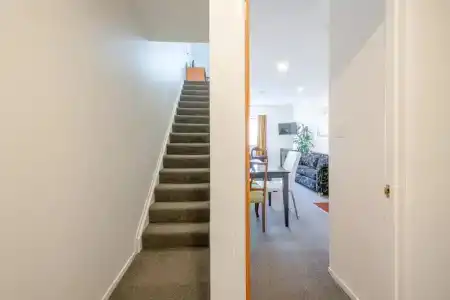 Auckland Newmarket - 33