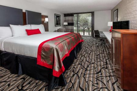 Ramada by Wyndham Austin South - 31