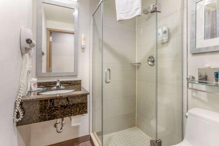 Comfort Inn Manhattan - Midtown West - 34