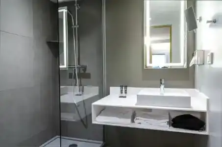 Novotel Paris 14 Porte d'Orléans - 66