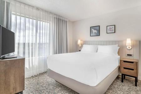 Sonesta Es Suites San Antonio Downtown Alamo Plaza - 4