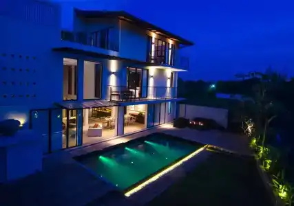 The Mangrove - 11