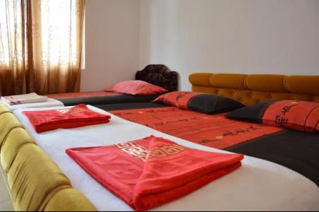 Guest House Vera - 19