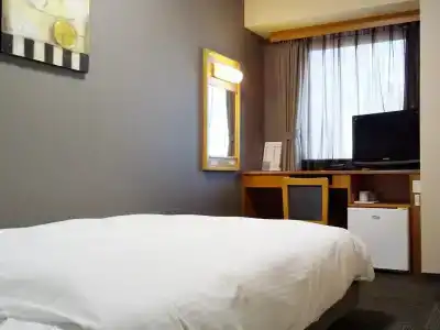 Route-Inn Hamamatsu Eki Higashi - 13