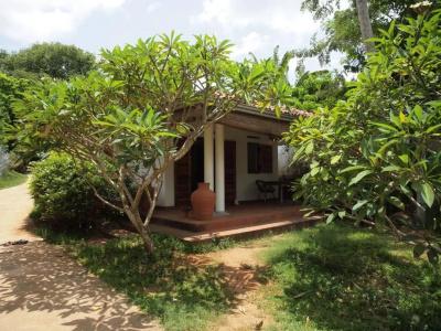 Little Tamarind - 84