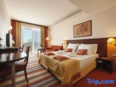 Grand Primus - Terme Ptuj - Savas & Resorts - 75