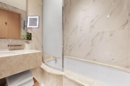 Adagio Premium The Palm - 17