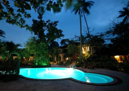 Sunrise Tropical - 9