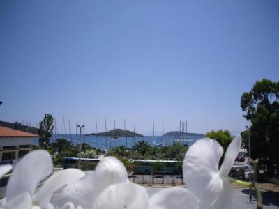Ifigenia - 48