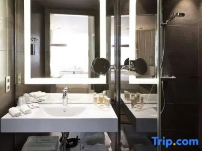 Pullman Brussels Centre Midi - 92