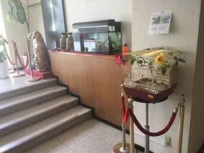 Okinawa Continental - 10