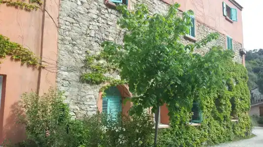 Les Jardins De La GlacièRe - 0