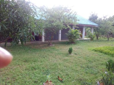 Sinhagiri - 12
