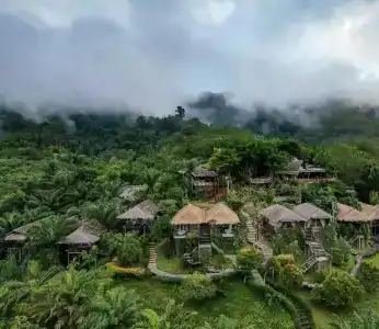 Khaosok Boutique Camps - 158