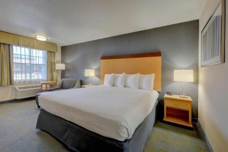 Best Western Horizon Inn - 55