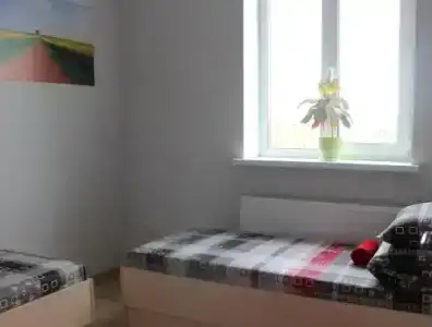 Тюльпан - 0
