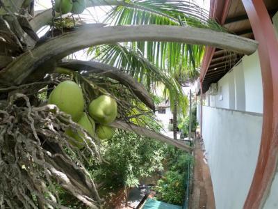 Chill Bay Weligama - 41