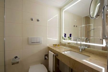 Maritim Titisee - 72