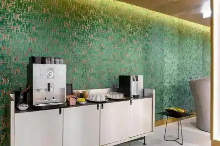 Emerald Downtown Suites - 16