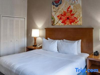 Hilton Vacation Club Polynesian Isles - 172