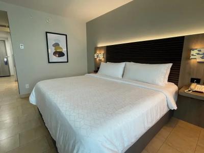 Holiday Inn Express méRida, An Ihg - 78