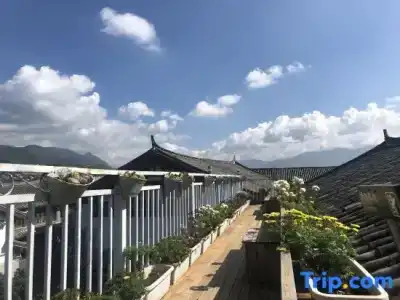 Floral Guangying Desinger - 1