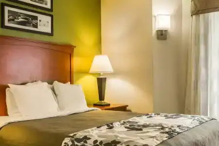 Sleep Inn I-75 - 33