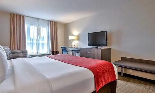 Comfort Inn & Suites South - 53