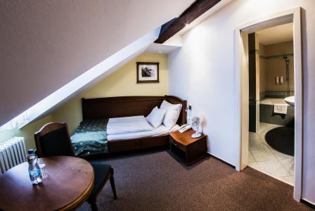 Dvorak Cesky Krumlov - 1