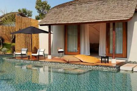 Boribot Pool - 23