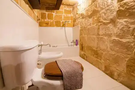 The Burrow - 8