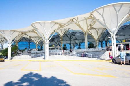 Tragos Lemon Tree - 55