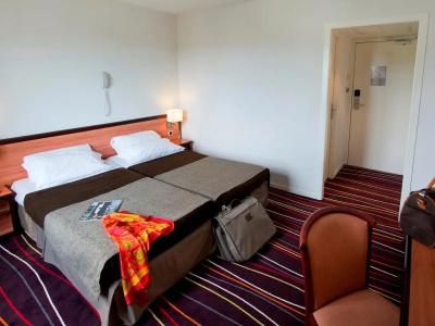 The Originals City, Hôtel Astoria Vatican, Lourdes (Inter-Hotel) - 39