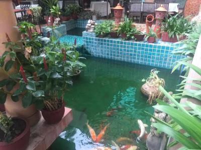 Wannara Hua Hin - 8