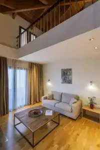 Domotel Anemolia Mountain Resort - 16