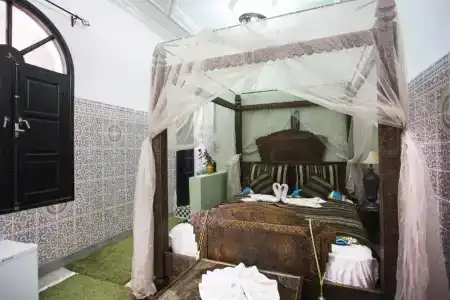 Riad Losra - 36