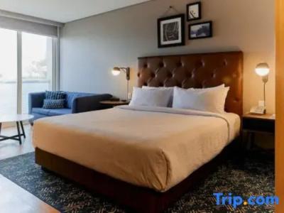 Four Points by Sheraton Mexico City Colonia Roma - 67