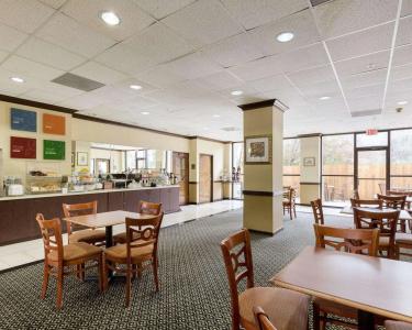Comfort Suites Bush Intercontinental Airport - 19