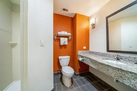 Restwell Inn & Suites I-45 North - 14