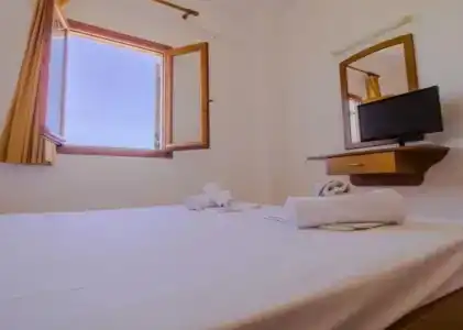Olga Studios - 2
