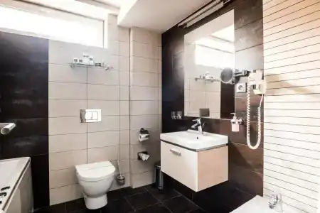 Deluxe with free Wellness and Fitness Centrum - 7