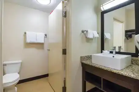 Red Roof Inn Plus + Phoenix West - 62