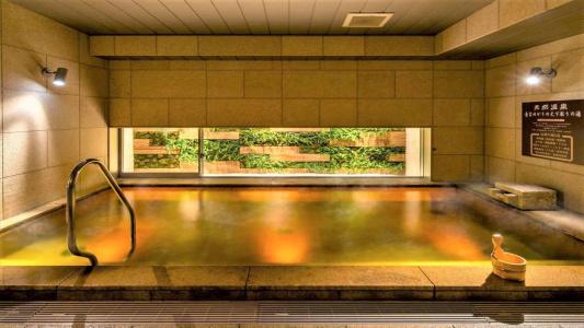 Natural Hot Springs Shikisai no Yu Super Premier Osaka Honmachi Ekimae - 10