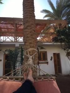 Sunrise Dahab Camp - 15