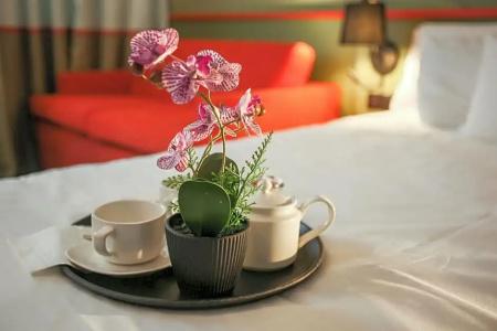 Mercure Lisieux - 49